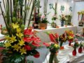 預演明年的花博會 鮮花扮靚順義農(nóng)博會(組圖)