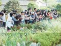 2008地被及水生植物應(yīng)用發(fā)展研討會熱點(diǎn)頻現(xiàn)
