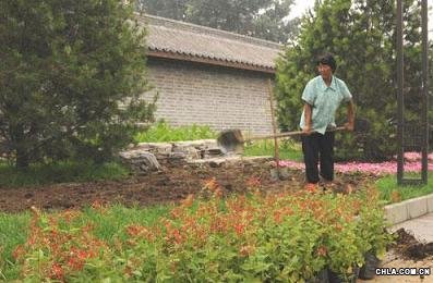 奧運(yùn)花卉