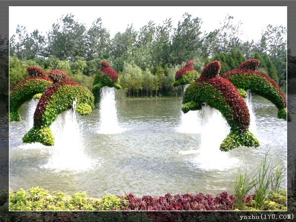 Wƥɭֹ@  @ˇg(sh)