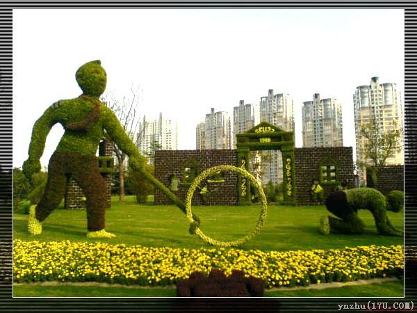 Wƥɭֹ@  @ˇg(sh)