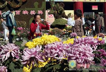 哈爾濱：菊花展接待游客35萬創歷屆新高(圖)