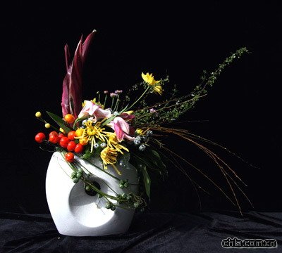 插花藝術(shù)欣賞之菊花篇(組圖)