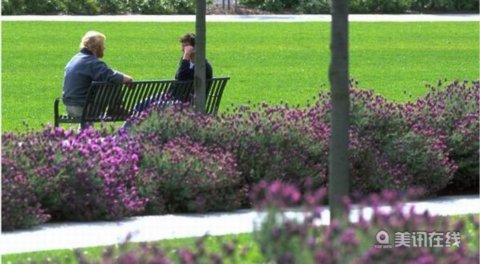 加州山景城查爾斯頓公園設計