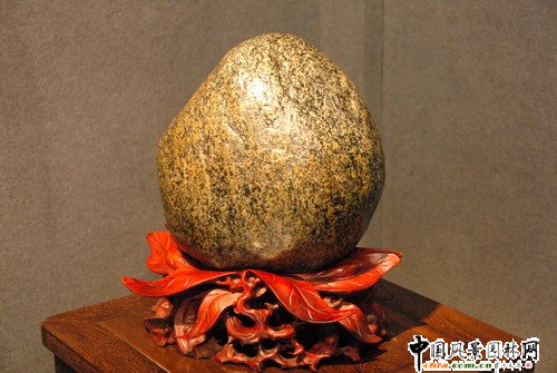 東湖公園奇石展(組圖)