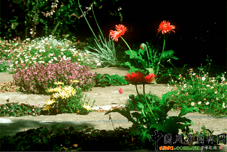 2009ASLA居住區(qū)設計類榮譽獎：裂縫花園