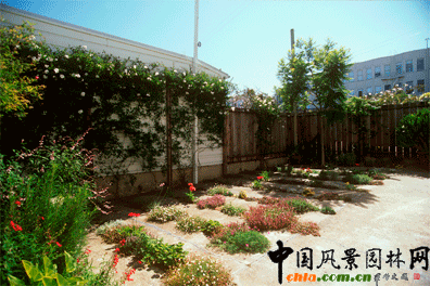 2009ASLA居住區(qū)設計類榮譽獎：裂縫花園