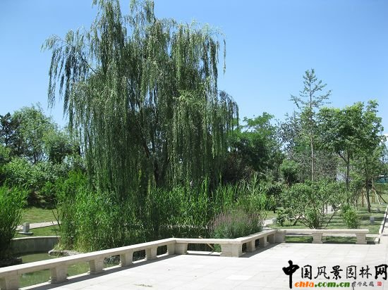 中國工程院甘霖池景區(qū)側(cè)面效果圖