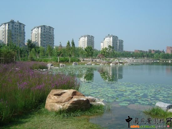 岸邊風景