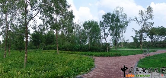 二級(jí)園路植物景觀