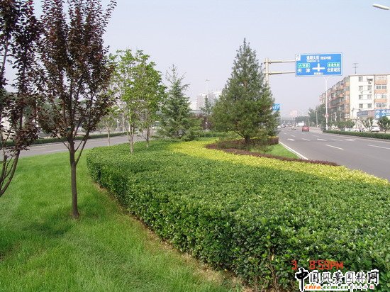 2008(hu)Ʒ֮ͨ־^