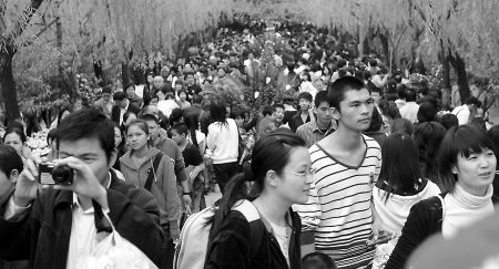 菊花展上的菊花美不勝收 西湖公園內(nèi)人頭攢動