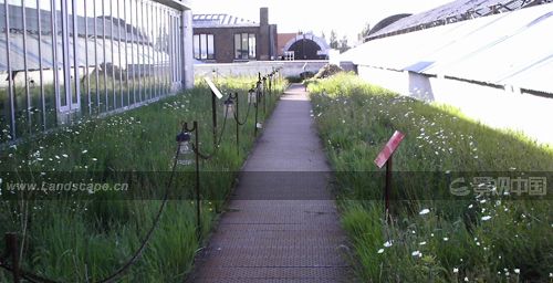 點(diǎn)此在新窗口瀏覽圖片