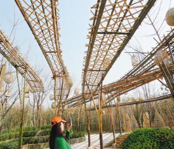 北林第二屆國際風景園林師高峰論壇完美收官