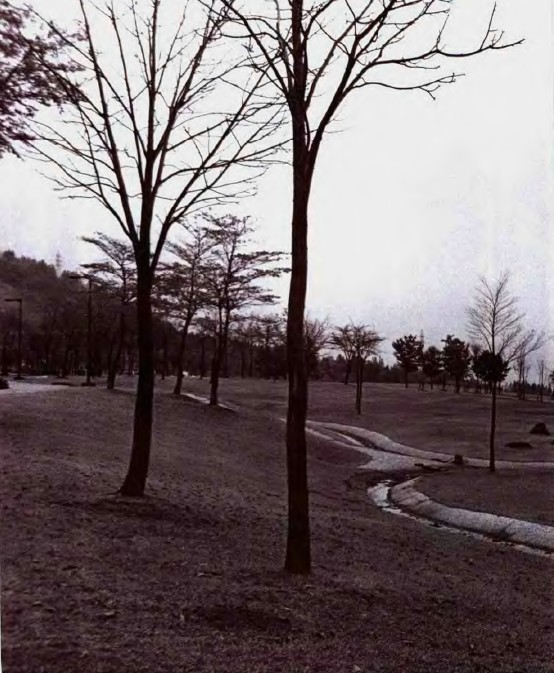 戶田芳樹作品：綠色津南中央庭園 中國風(fēng)景園林網(wǎng)