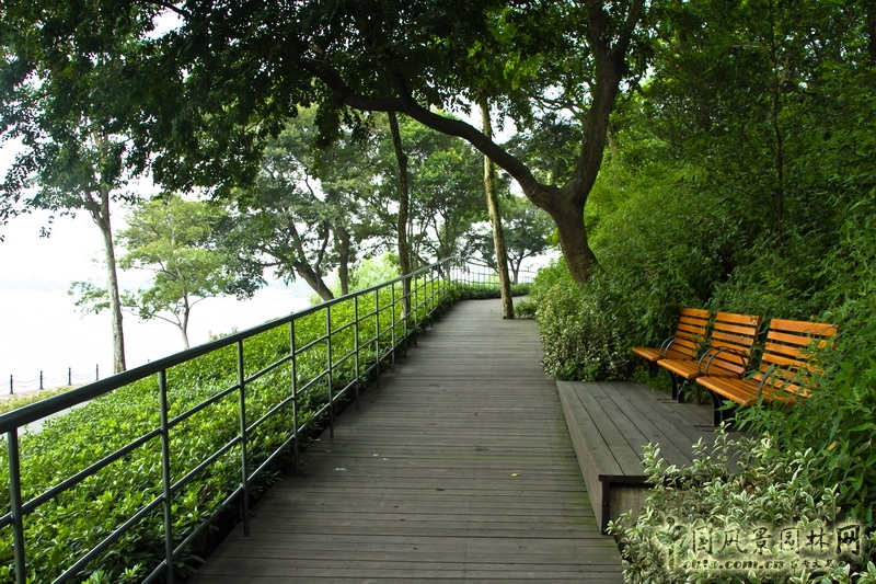 盛葉夏樹(shù) 雕塑公園 景觀 實(shí)景圖
