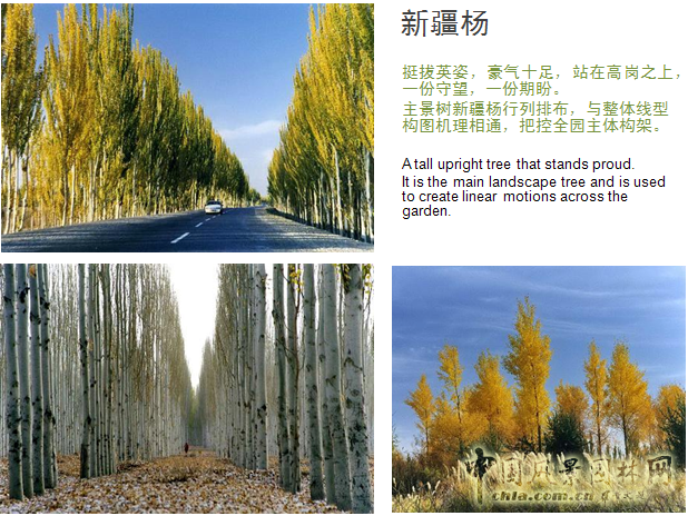 北京園博會設(shè)計師廣場 獲獎作品 流動的窗 顧志凌 景觀設(shè)計 中國風(fēng)景園林網(wǎng)