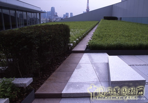 三谷徹 作品 朝日電視臺屋頂庭園 北京園博會 中國風景園林網(wǎng)
