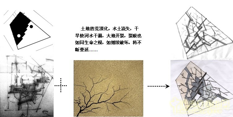 鏡園 張建林 雨水收集系統(tǒng) 園林植物 設(shè)計 園林 景觀
