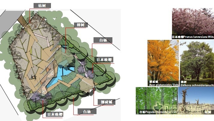 鏡園 張建林 雨水收集系統(tǒng) 園林植物 設(shè)計 園林 景觀