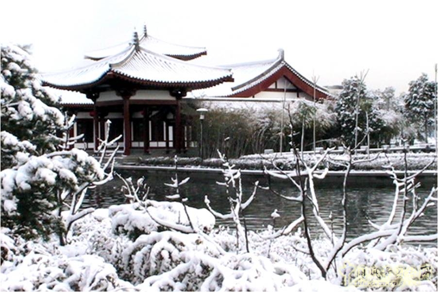 豐慶公園建設(shè)