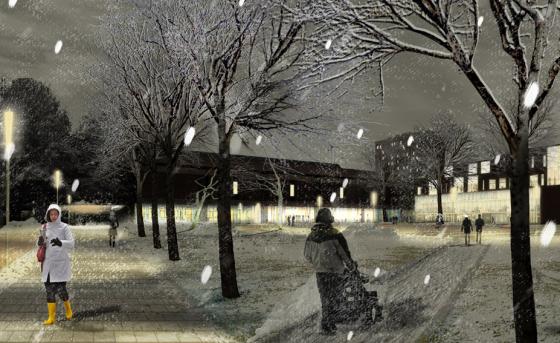 美國內布拉斯加林肯大學