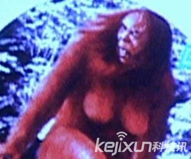 神農(nóng)架野人
