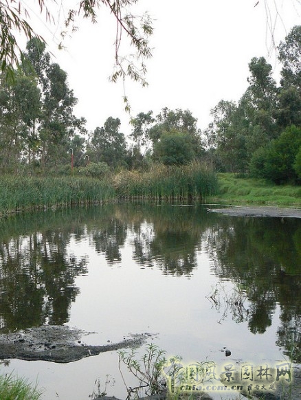 霍奇米爾科 生態(tài)公園