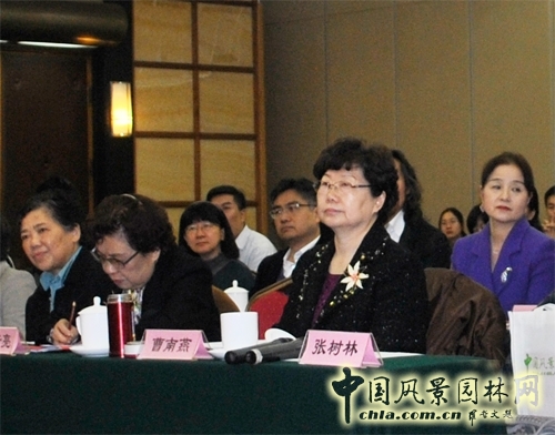 女風景園林師  園林師 風景園林