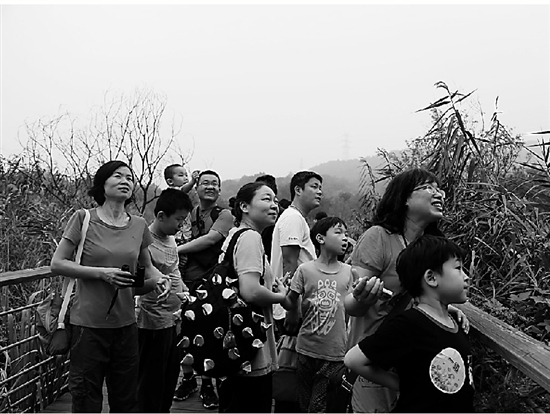 景區(qū)公園 江洋畈公園 西湖景區(qū) 親子活動(dòng)