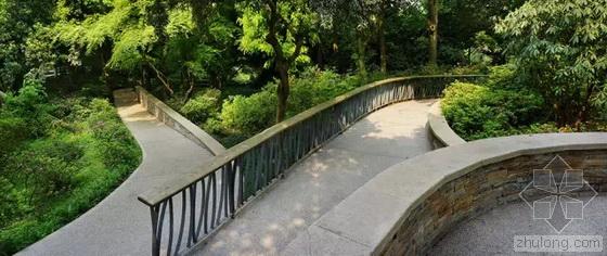 英國(guó)國(guó)家景觀獎(jiǎng) 王向榮 槭樹杜鵑園 杭州植物園 