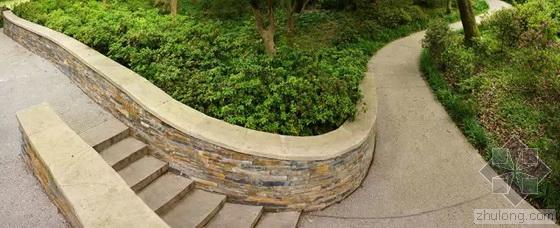 英國(guó)國(guó)家景觀獎(jiǎng) 王向榮 槭樹杜鵑園 杭州植物園 