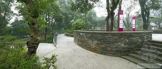 英國(guó)國(guó)家景觀獎(jiǎng) 王向榮 槭樹杜鵑園 杭州植物園 