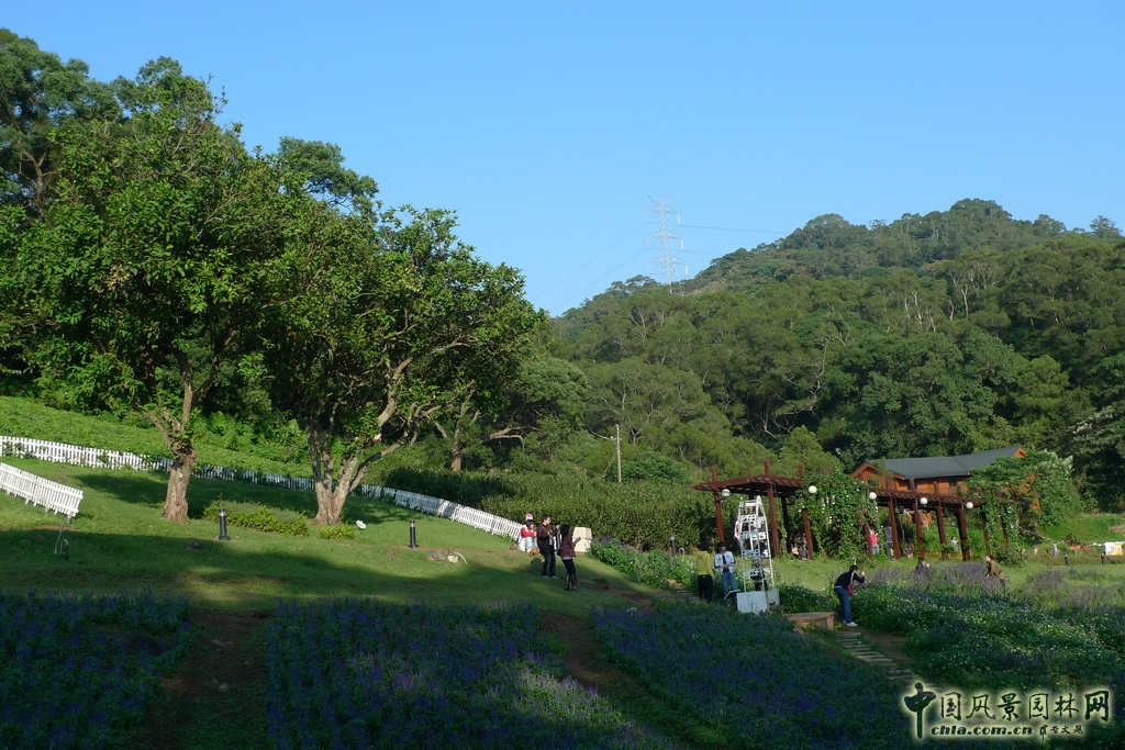 大溪花海農(nóng)場