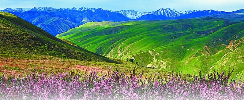 巴爾魯克山國家級自然保護區(qū)景色。