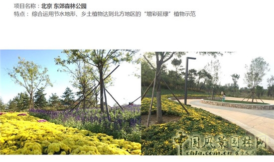 郭建梅：節(jié)水園林——蒙草遇上節(jié)水的時代