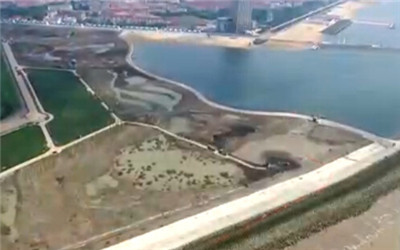 上海首個濱海濕地公園“鸚鵡洲”濕地公園開工建設(shè)