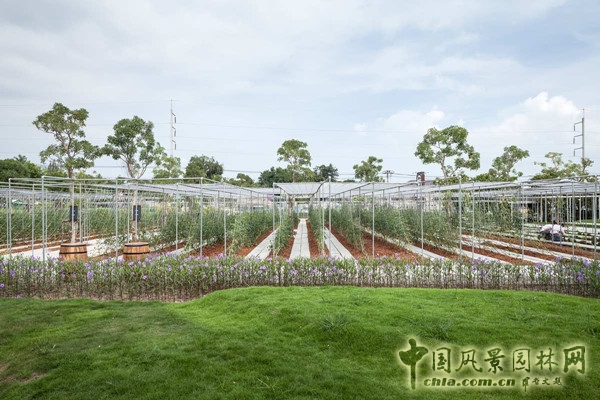 泰國Coro項(xiàng)目一期工程賞析