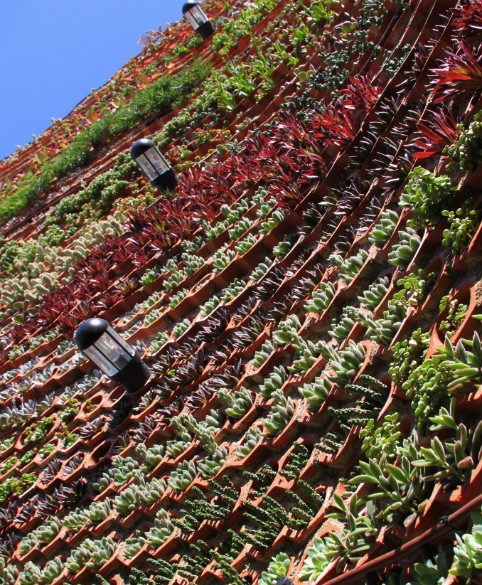 2013 加拿大皇家銀行藍(lán)色水屋頂花園