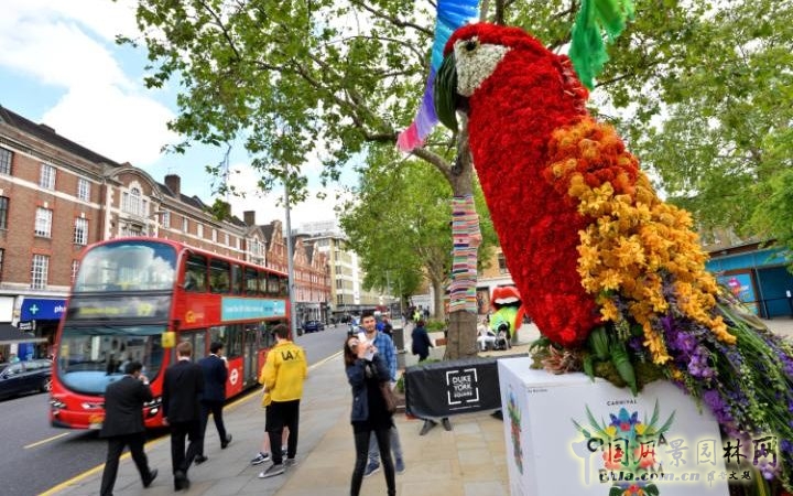 英國2016切爾西花展掀起的花藝設(shè)計(jì)熱潮