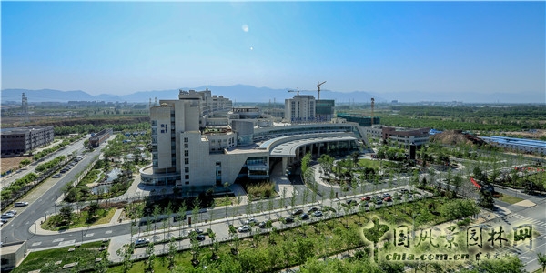 郭麗文：北大國(guó)際醫(yī)院園林的傳統(tǒng)文化特色