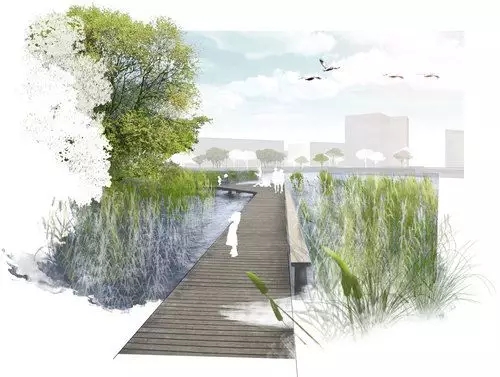 河道景觀植物搭配你知道嗎？