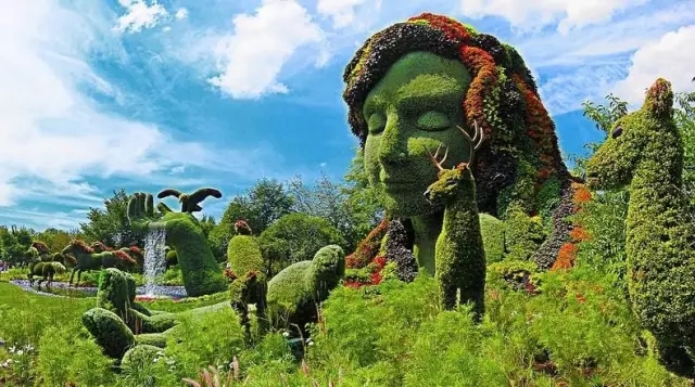 如何讓植物成為兒童活動(dòng)場地的主角？