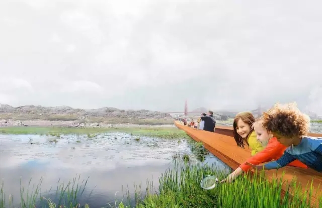 如何讓植物成為兒童活動(dòng)場地的主角？