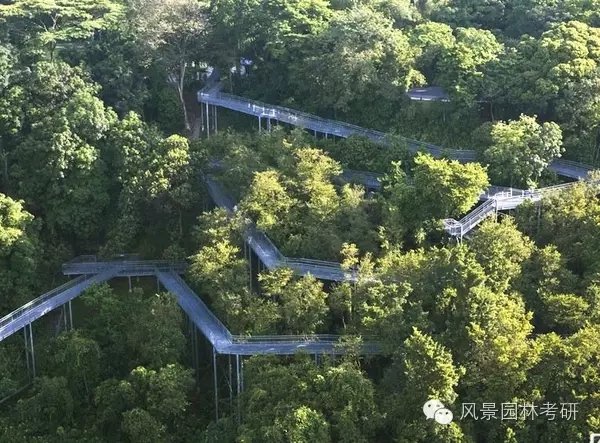 景觀設計中地形高差處理不會？看過來！