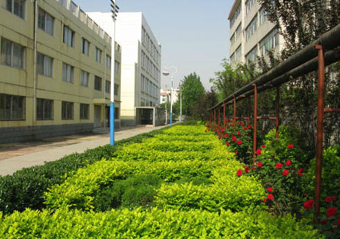 做校園景觀設(shè)計你必須要知道的九個原則