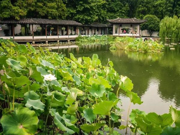 西湖邊上靈動(dòng)的中國(guó)古典園林