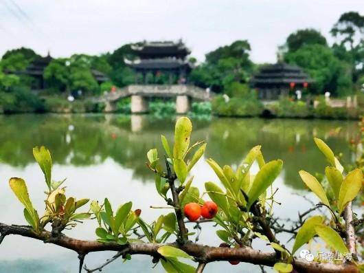 上海這個(gè)深藏不露的絕美園林免費(fèi)開放10天