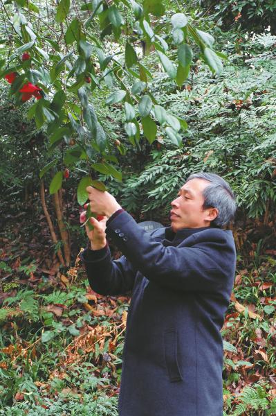 從農(nóng)民到植物專家 峨眉山有個植物“活地圖”