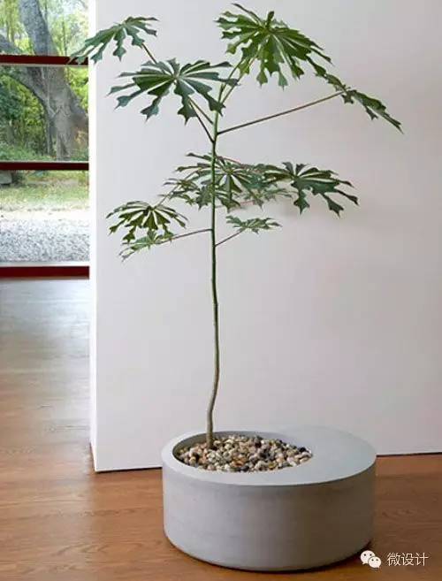 各式各樣的景觀細(xì)節(jié)設(shè)計欣賞